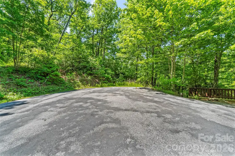 1620 North Haven Drive #CC18, Black Mountain, NC 28711 - #3