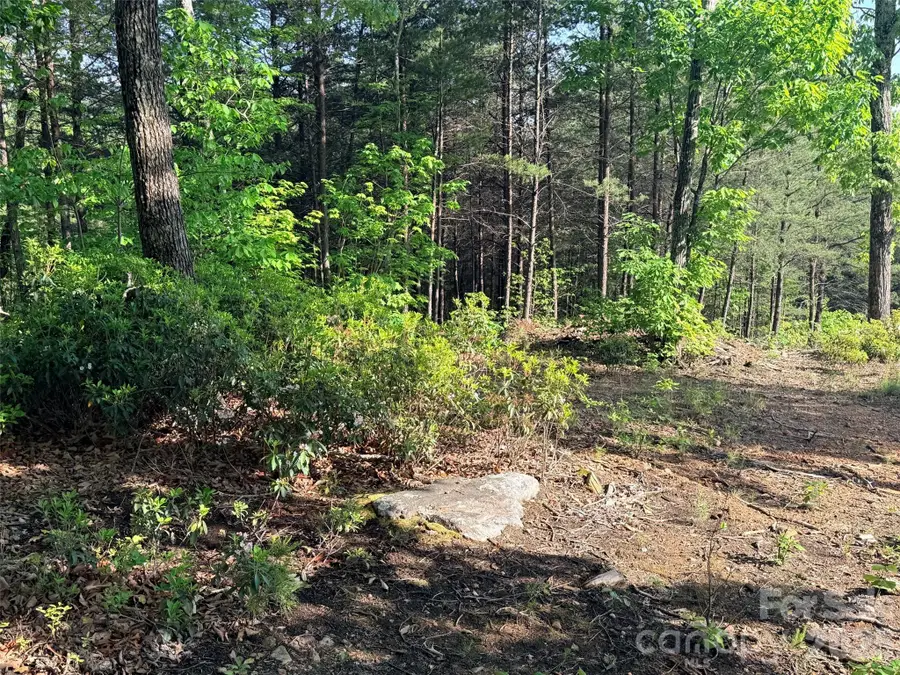 Lot 11 Brookside Parkway, Lake Lure, NC 28746 - #2