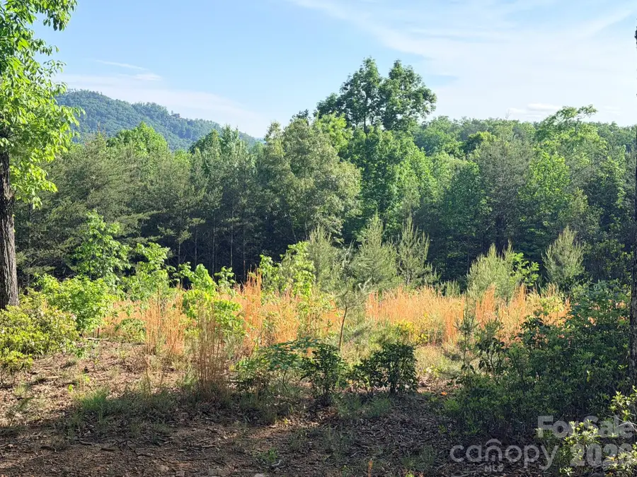 Lot 11 Brookside Parkway, Lake Lure, NC 28746 - #3