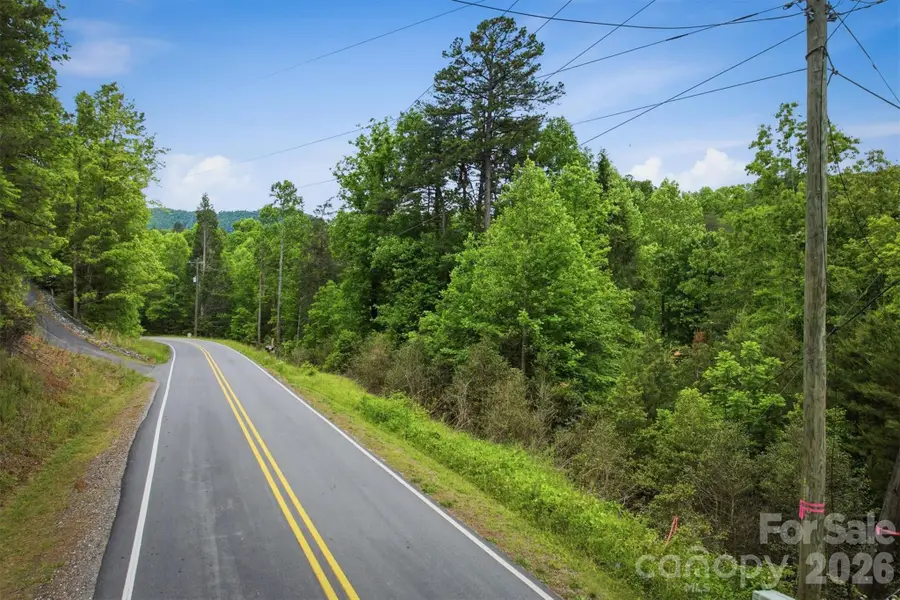 1350 Lavender Road, Old Fort, NC 28762 - #3
