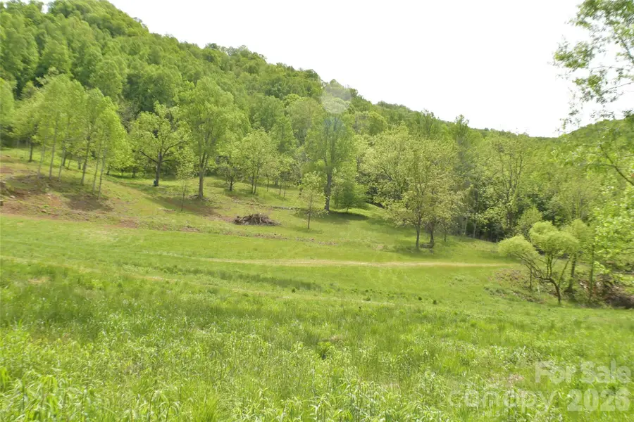 8200 Caney Fork Road, Cullowhee, NC 28723 - #2