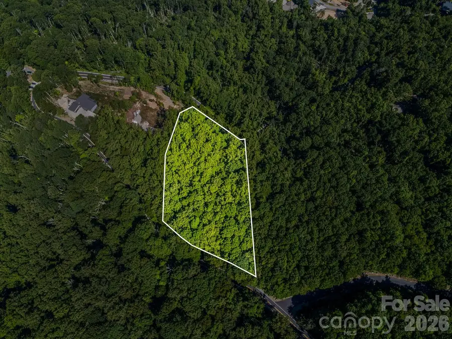 Lot 3 Cedar Mountain Road #3, Asheville, NC 28803 - #2