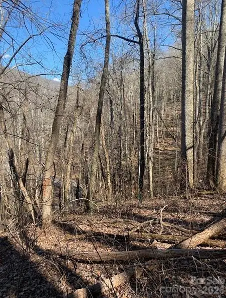 Lot 3 Cedar Mountain Road #3, Asheville, NC 28803 - #3