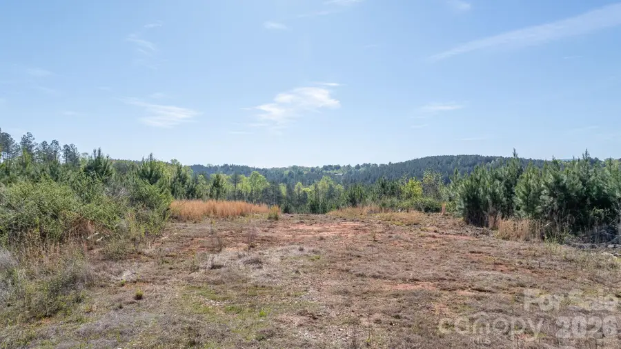 768 Bryant Road, Morganton, NC 28655 - #3