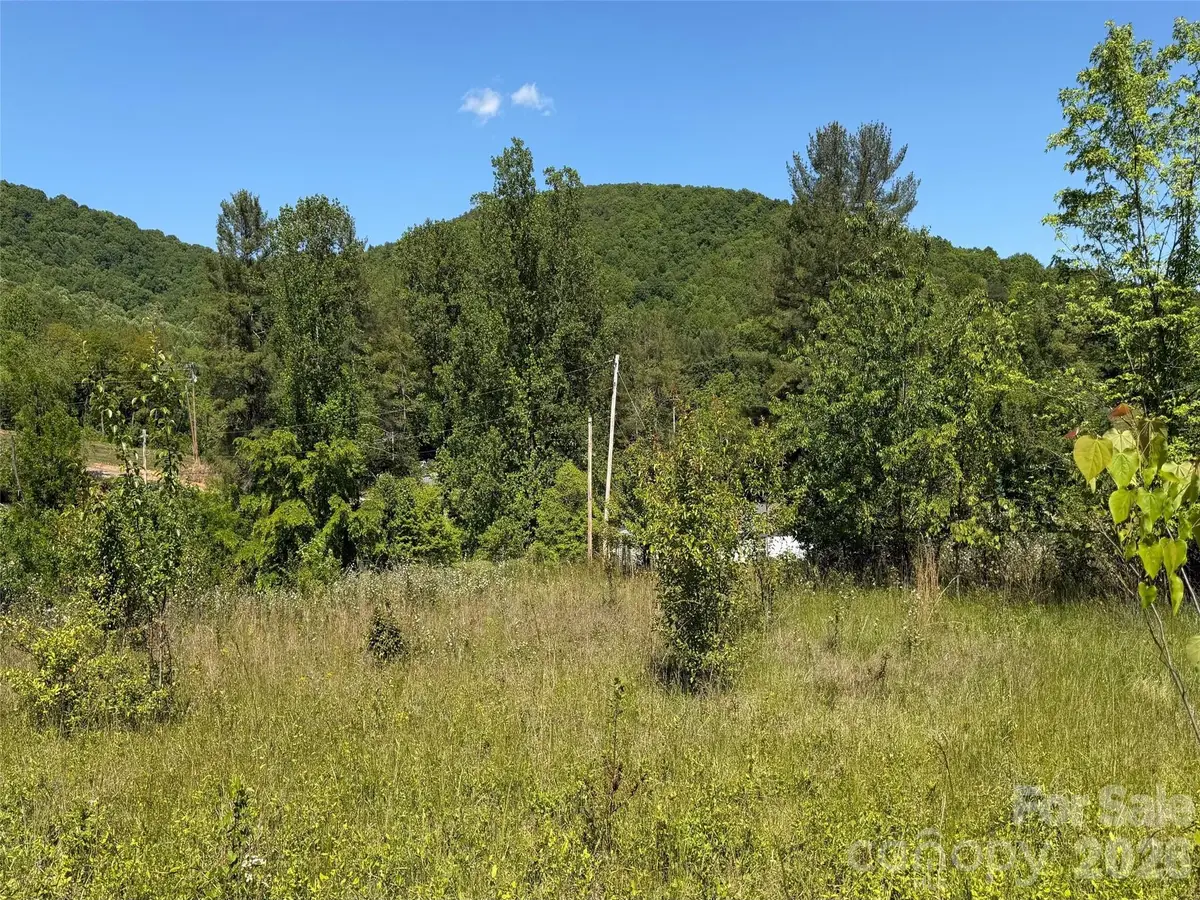 99999 S Morgan Branch Road, Candler, NC 28715 - #1