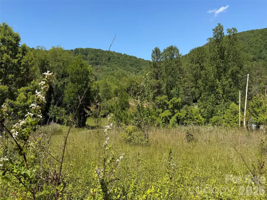 99999 S Morgan Branch Road, Candler, NC 28715 - #2