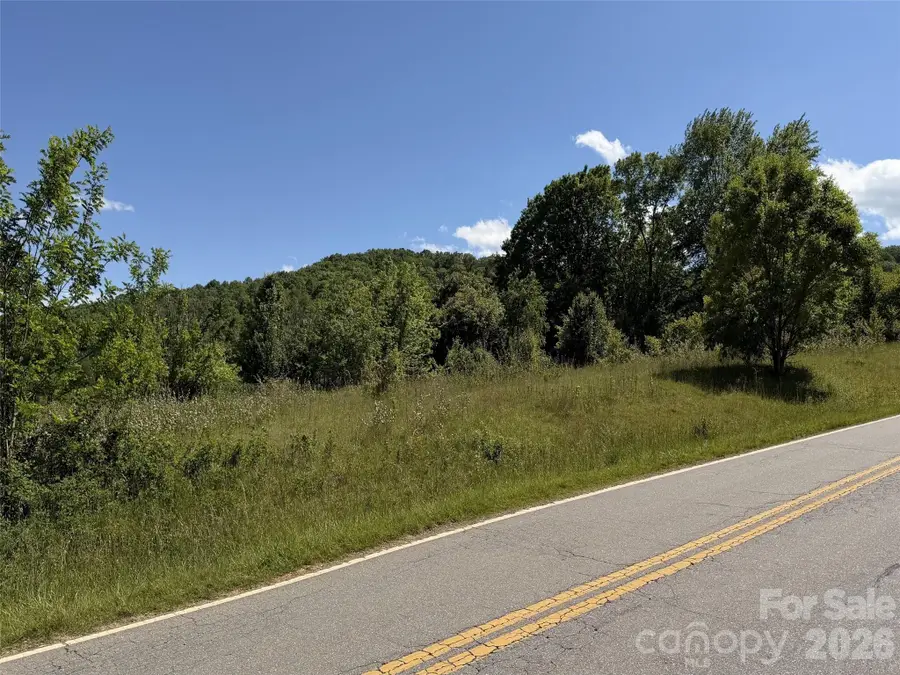 99999 S Morgan Branch Road, Candler, NC 28715 - #3