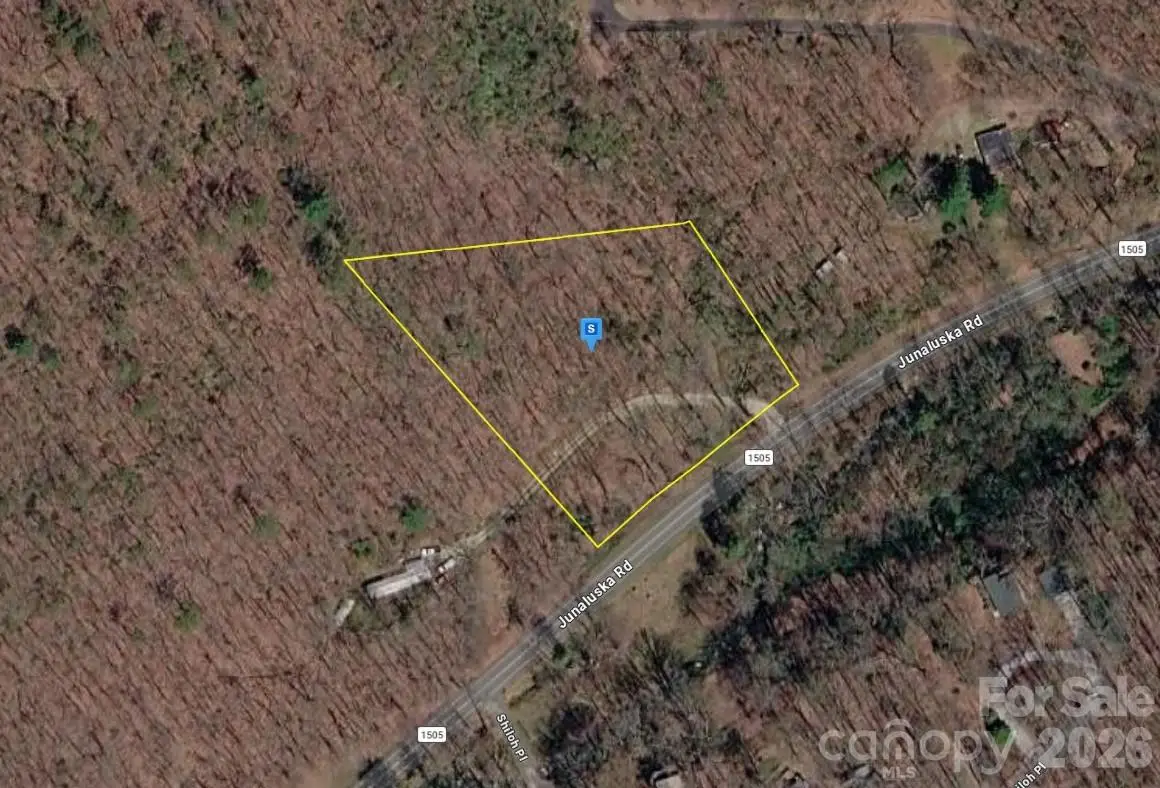 4705 Junaluska Road, Andrews, NC 28901 - #1