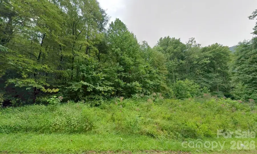 4705 Junaluska Road, Andrews, NC 28901 - #2