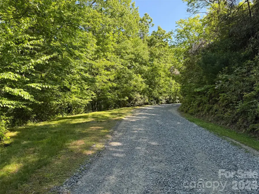 10C Reserve Road, Pisgah Forest, NC 28768 - #2