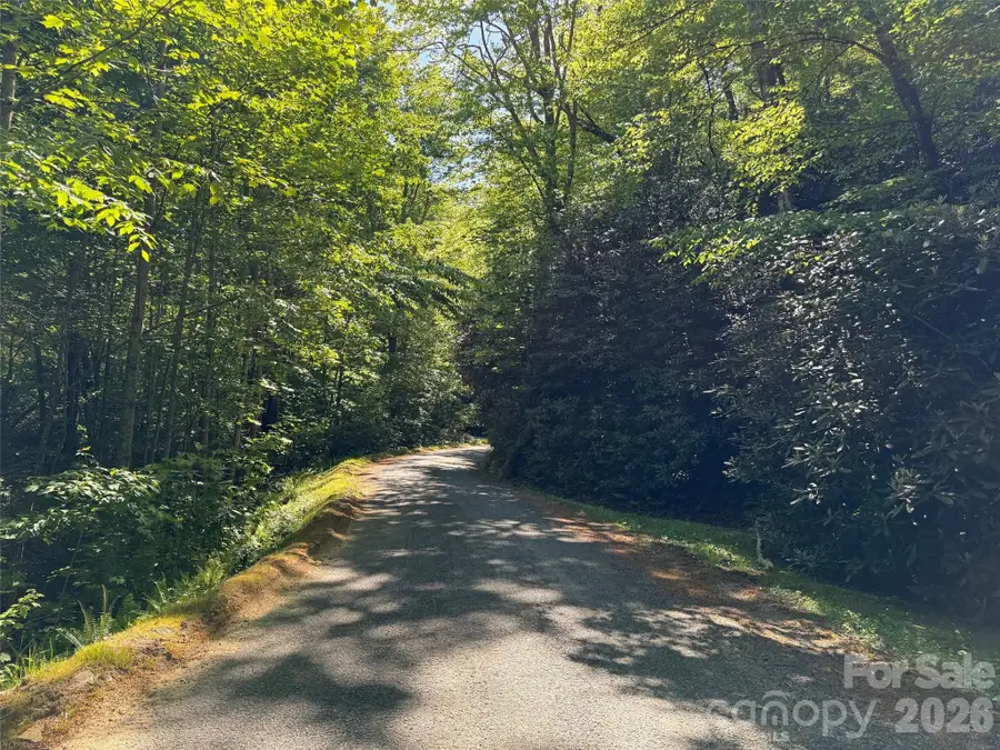 10C Reserve Road, Pisgah Forest, NC 28768 - #3