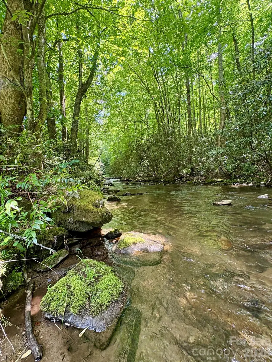0 Alarka Road #48, Bryson City, NC 28713 - #3