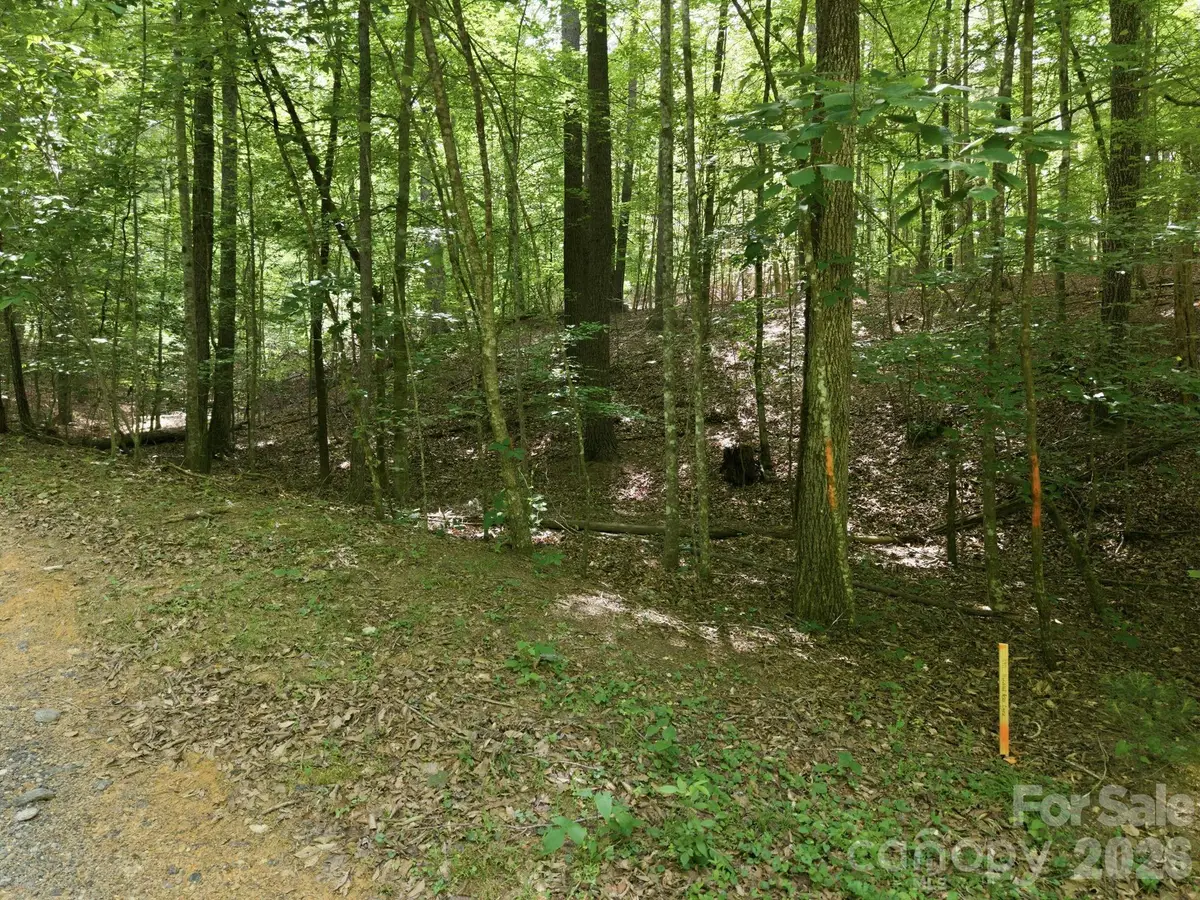 2411 Hundred Acres Lane, Lenoir, NC 28645 - #1