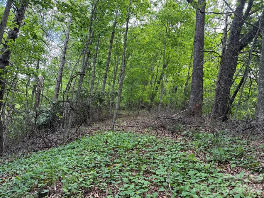 408 Arvil Gosnell Road, Marshall, NC 28753 - #3
