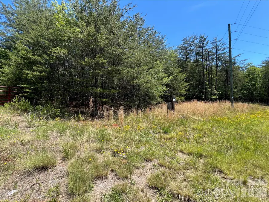 0 Luckadoo Mountain Road #177, Bostic, NC 28018 - #3