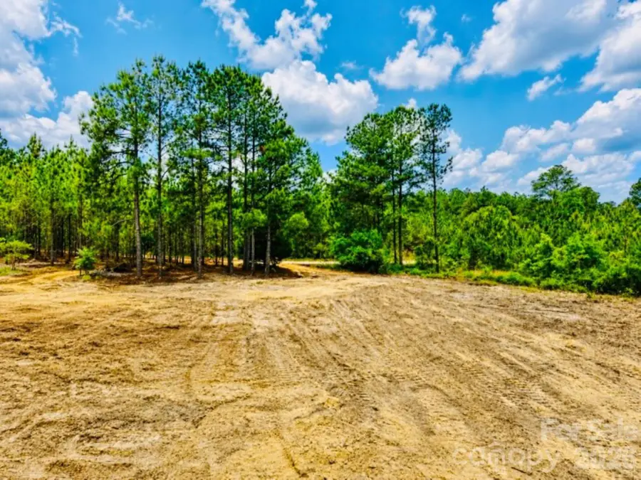 231 Jc Barefoot Road, Patrick, SC 29584 - #3