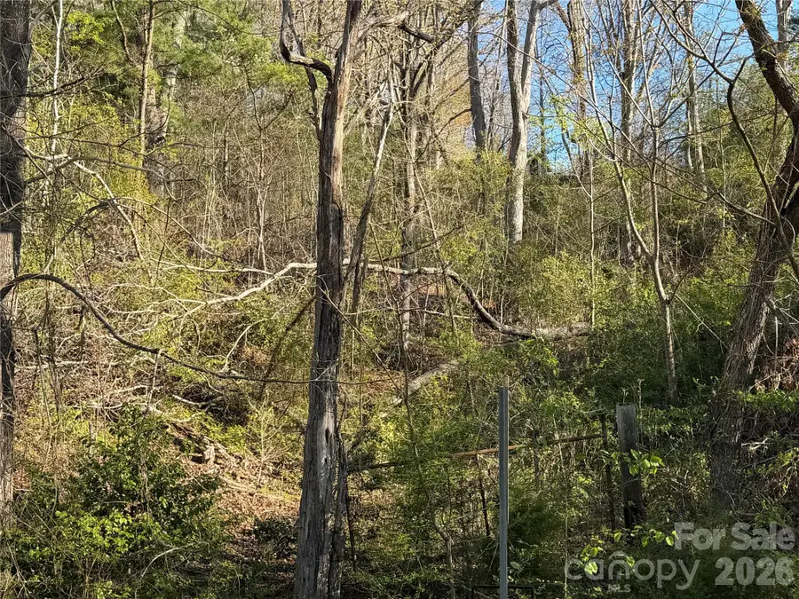 219 Bee Ridge Road, Asheville, NC 28803 - #2