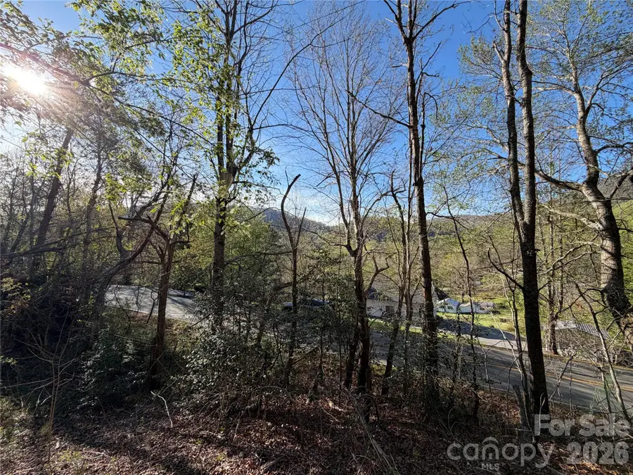 219 Bee Ridge Road, Asheville, NC 28803 - #3