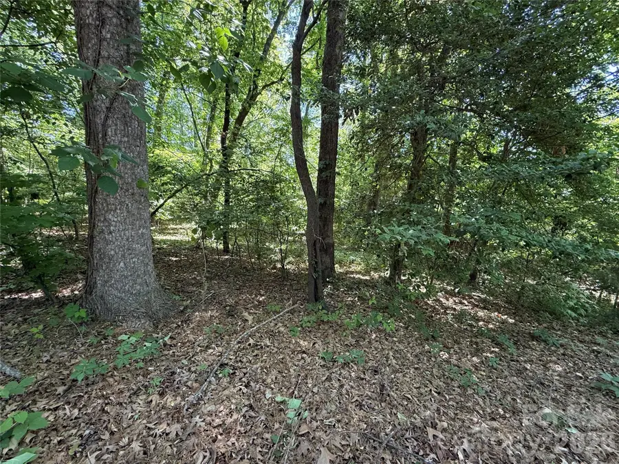 4446 Marion Drive, Terrell, NC 28682 - #2