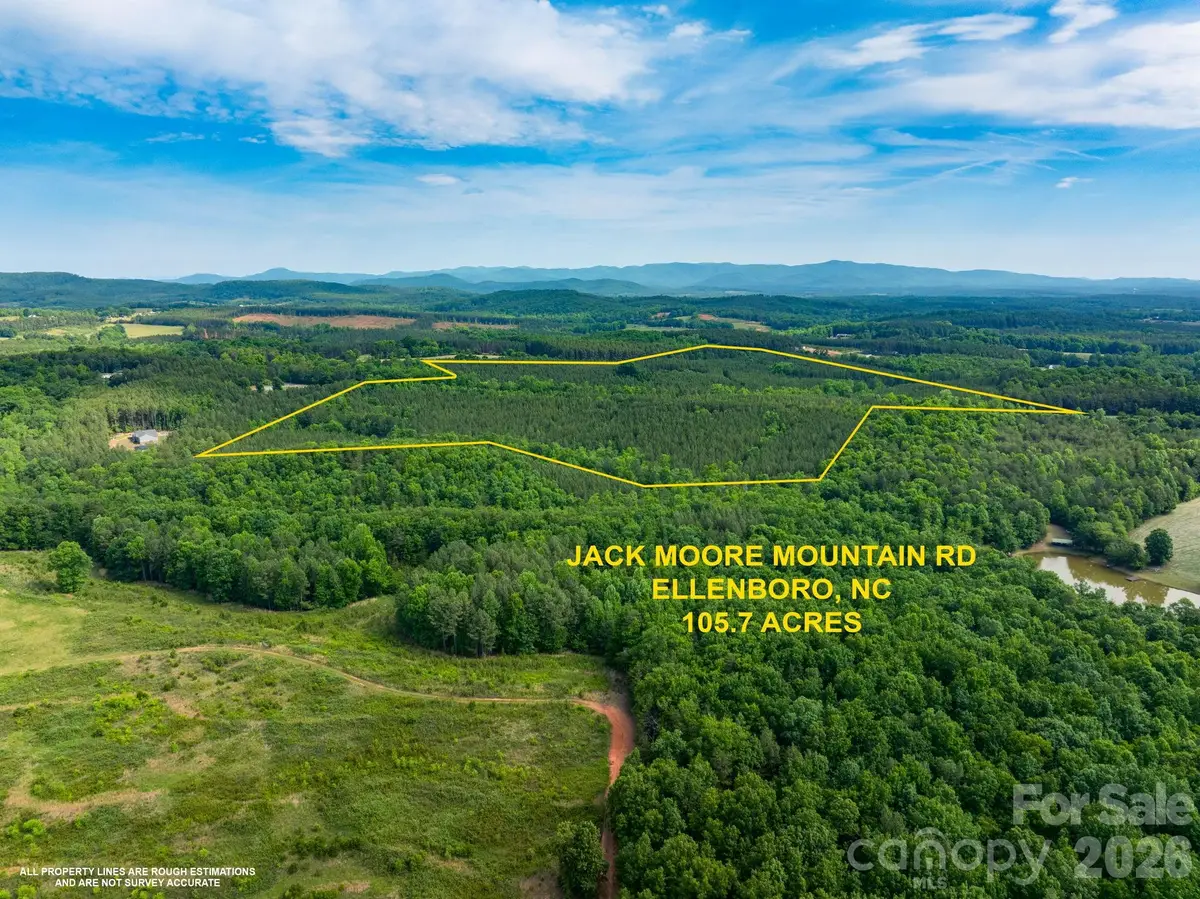 0 Hollis Jack Moore Mtn Road, Ellenboro, NC 28040 - #1