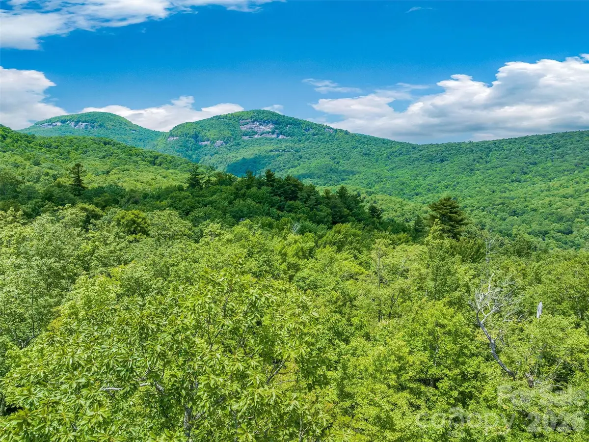 2 Cardinal Drive W #TRP 2, Lake Toxaway, NC 28747 - #1