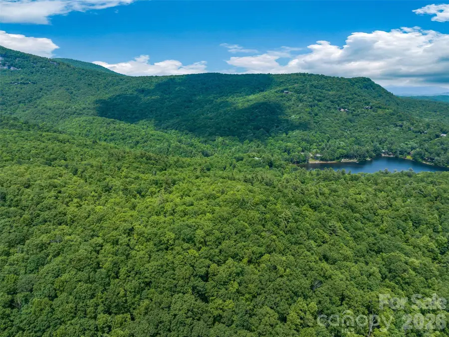 2 Cardinal Drive W #TRP 2, Lake Toxaway, NC 28747 - #3