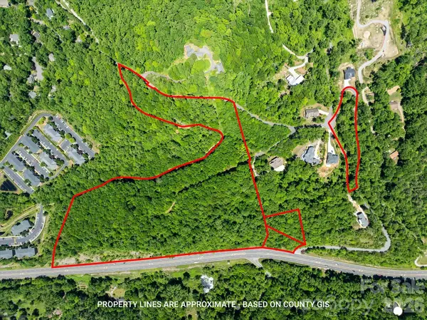99999 Winding Ridge Road, Fairview, NC 28730
