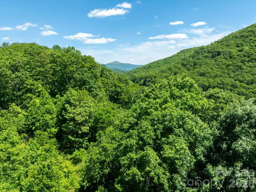 99999 Winding Ridge Road, Fairview, NC 28730 - #3