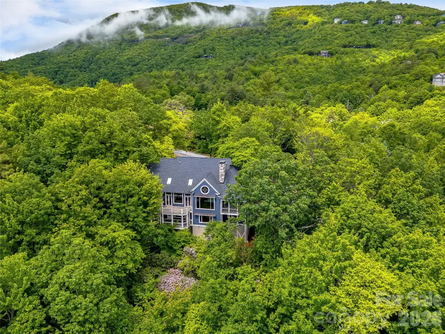 251 Toxaway Court, Lake Toxaway, NC 28747 - #3
