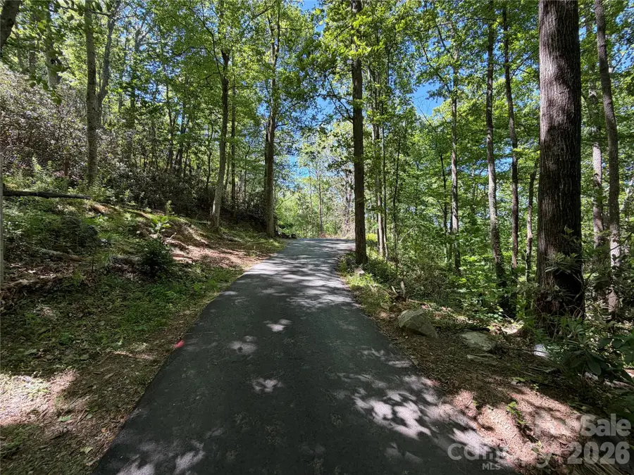 25 Buck Ridge Road, Fairview, NC 28730 - #2
