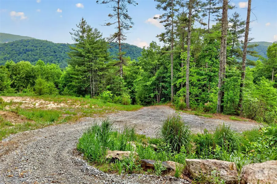 259 East Lester Lane, Hendersonville, NC 28739 - #2