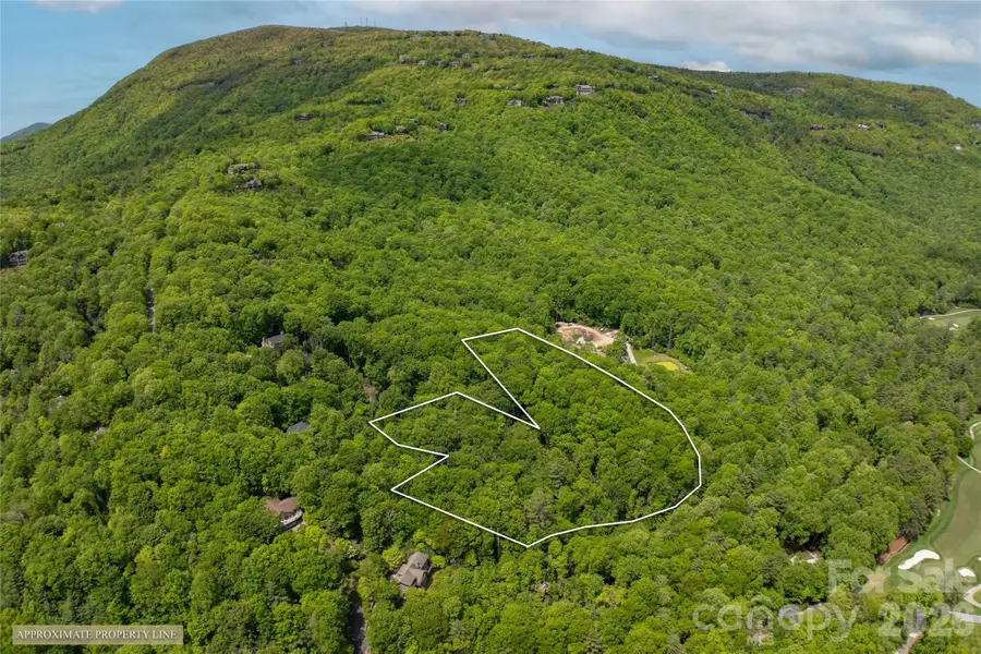 TM 1R Toxaway Drive, Lake Toxaway, NC 28747 - #2