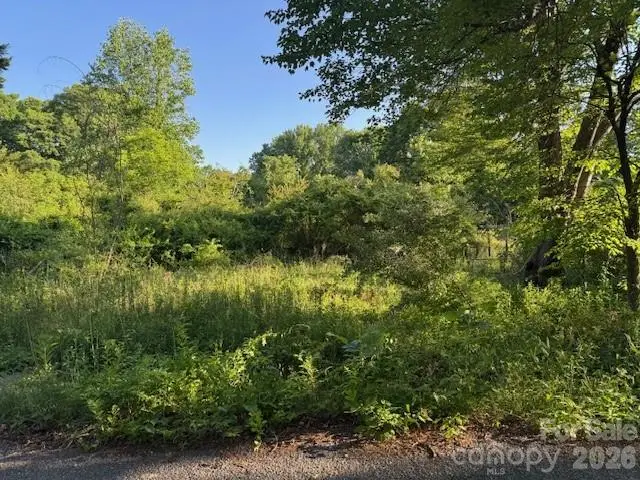 202 Dundee Street, Hendersonville, NC 28791 - #1