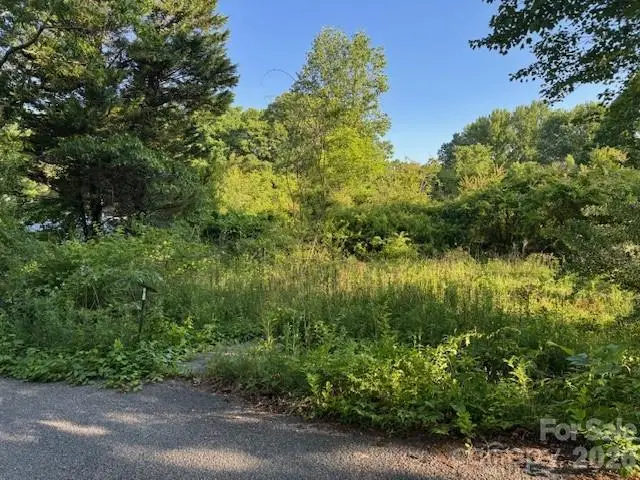 202 Dundee Street, Hendersonville, NC 28791 - #2