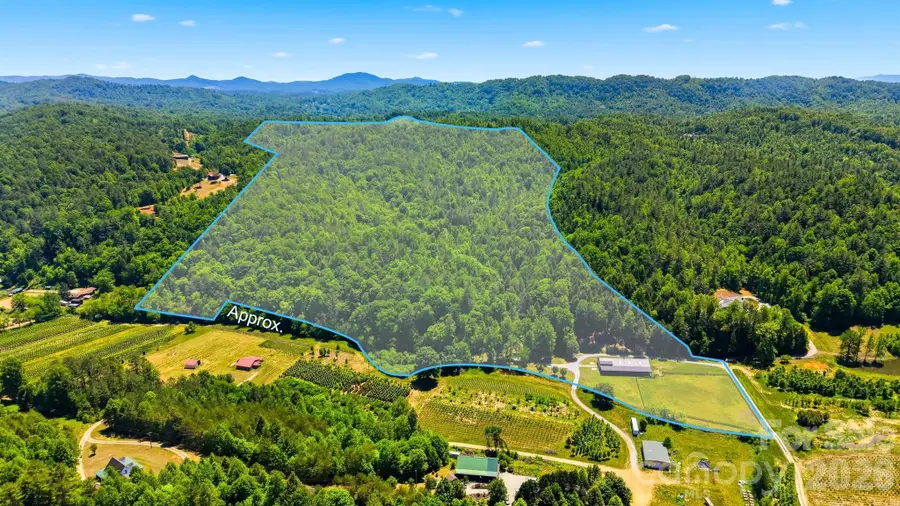 81 +/- Acres 2967 Roby Martin Road, Lenoir, NC 28645 - #3