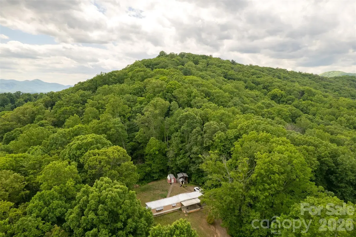 30 Gertrude Lane, Candler, NC 28715 - #1