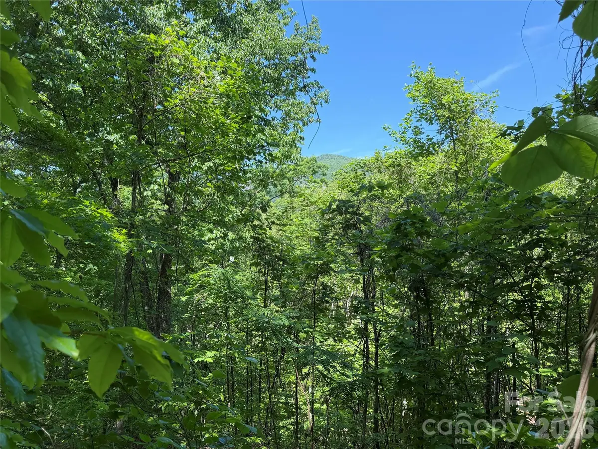 0 Buffalo Shoals Road #1, Lake Lure, NC 28746 - #1