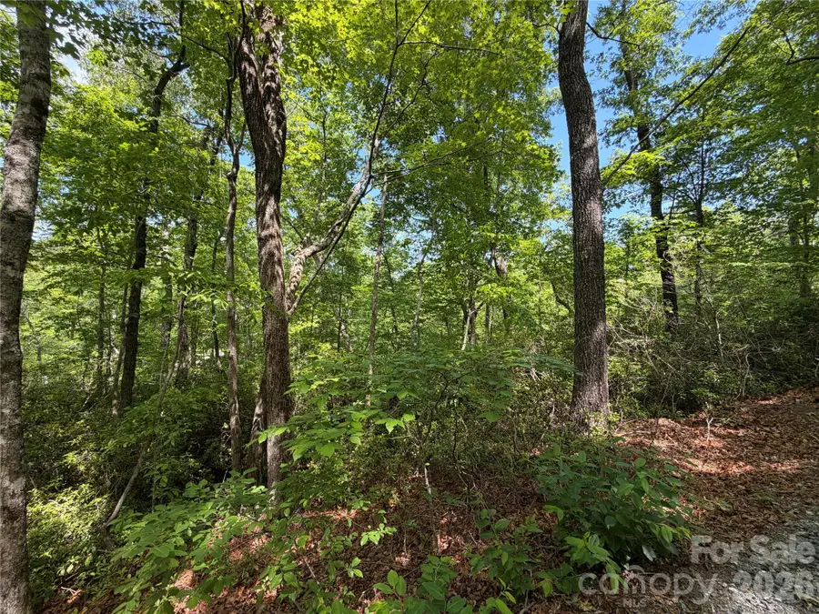 0 Buffalo Shoals Road #1, Lake Lure, NC 28746 - #3