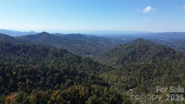 9999 Kelses Valley Drive, Mars Hill, NC 28754