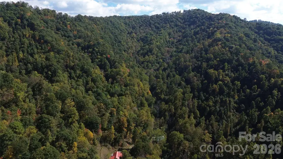 9999 Kelses Valley Drive, Mars Hill, NC 28754 - #3