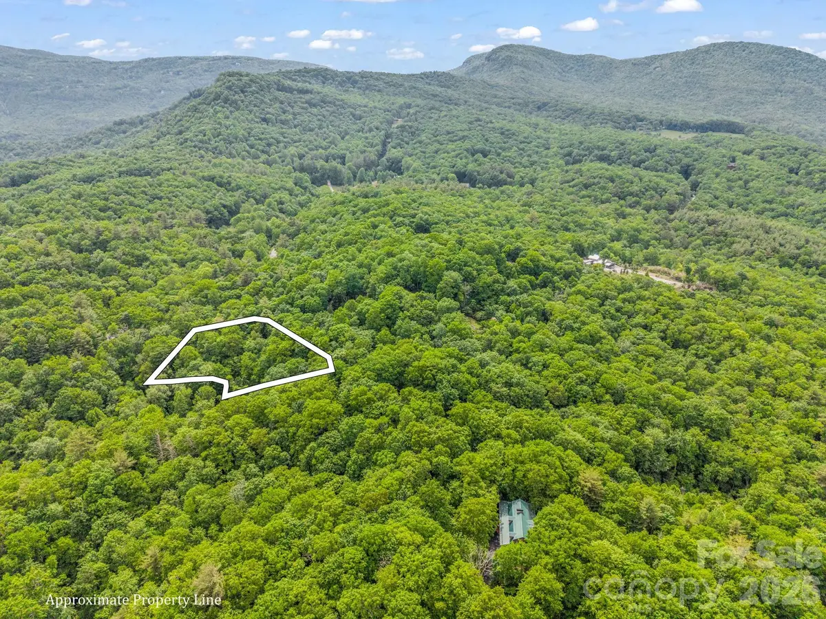 TBD Toxaway Trail #14/3, Lake Toxaway, NC 28747 - #1