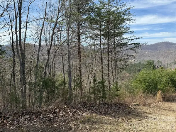 Lot 165 Pinegrove Drive #165, Bostic, NC 28018