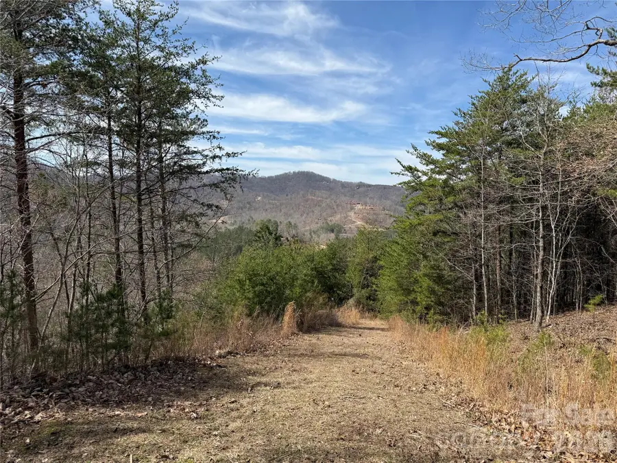 Lot 165 Pinegrove Drive #165, Bostic, NC 28018 - #3
