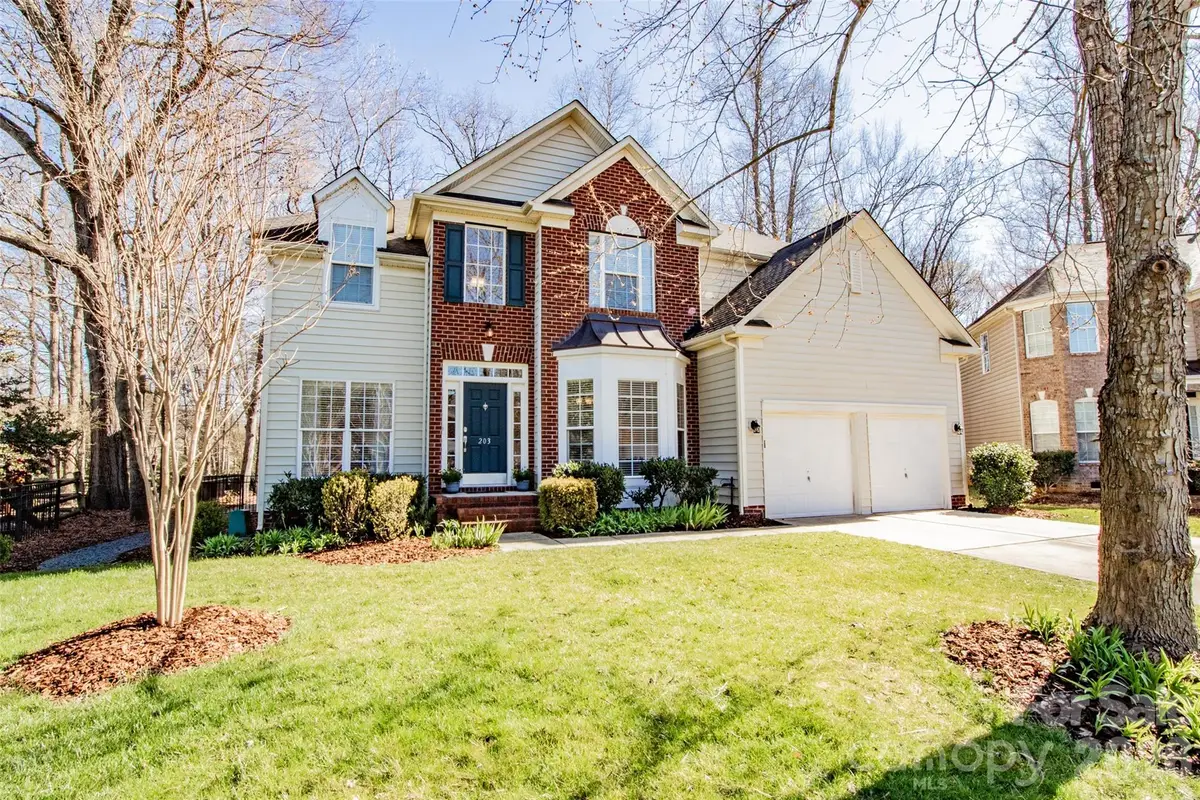 203 Elven Court, Waxhaw, NC 28173 - #1
