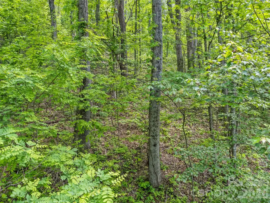 0000 Presidential Drive #58/PH 2-A, Waynesville, NC 28786 - #3