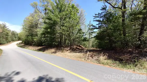 0 Staghorn Road, Purlear, NC 28665