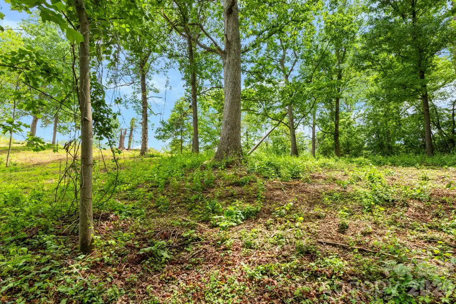 99999 Wild Goose Way #2R, Asheville, NC 28804 - #3