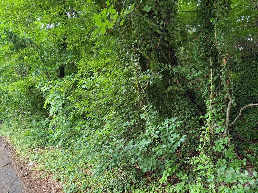 91 Iris Street, Asheville, NC 28803 - #2