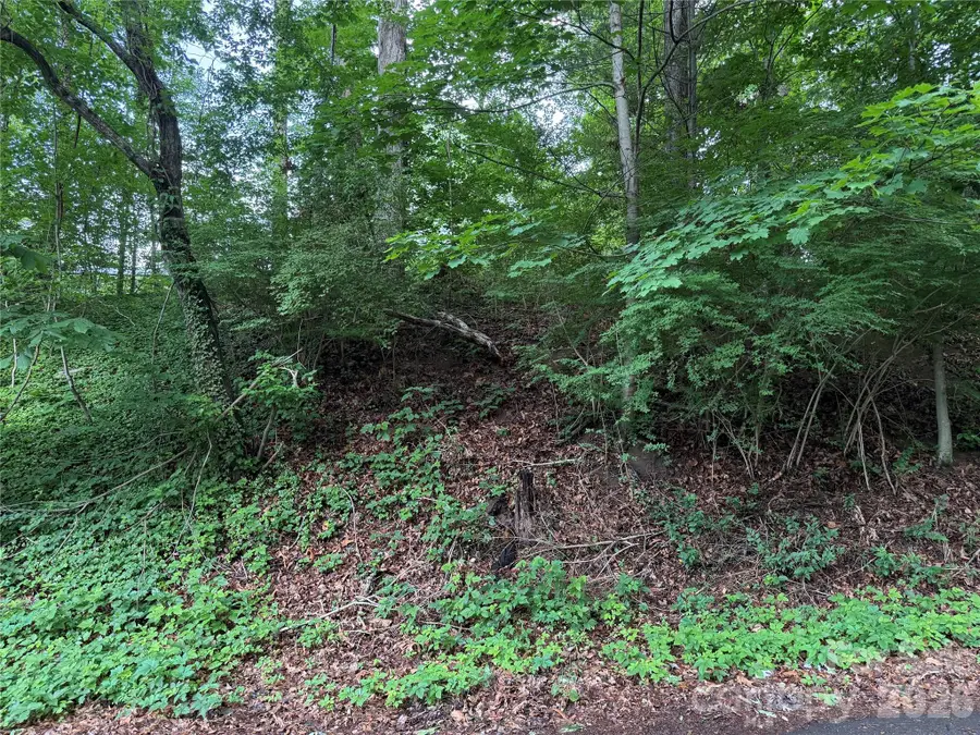 91 Iris Street, Asheville, NC 28803 - #3
