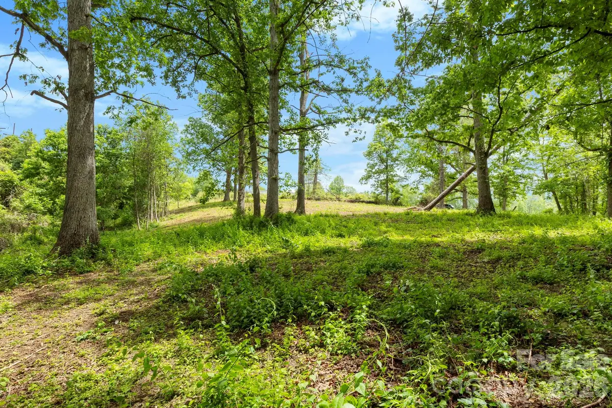 99999 Wild Goose Way #3R, Asheville, NC 28804 - #1